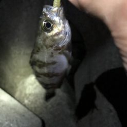 先週よかった地元へ