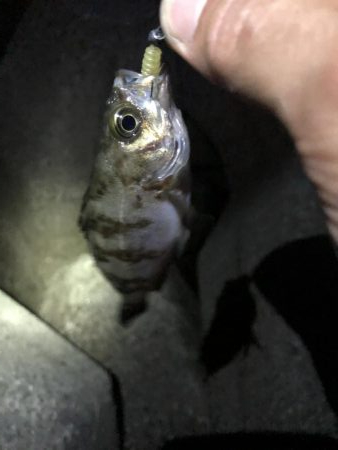 先週よかった地元へ