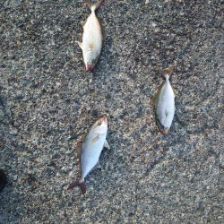 やっと夏っぽくなってきました!