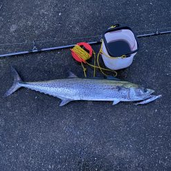 鰤じゃなくサワラで〜