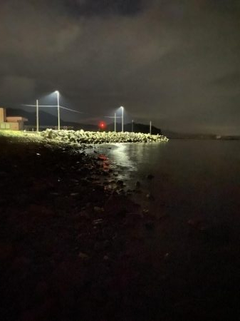 サバときどきアジ