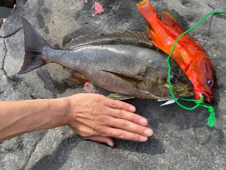 地磯釣行