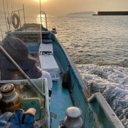 浅川沖でタイとツバス