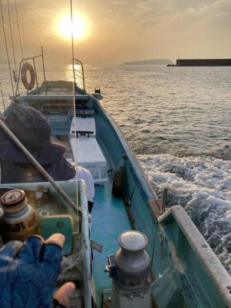 浅川沖でタイとツバス