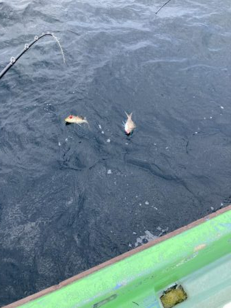 那佐沖でティップラン