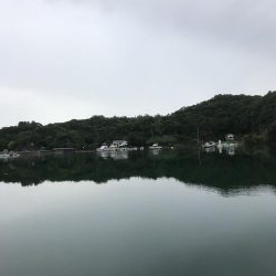 癒しのガッシー3rd?