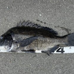 イチノ兄弟、釣果！