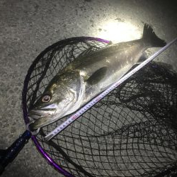 めげずに頑張りました(ToT)