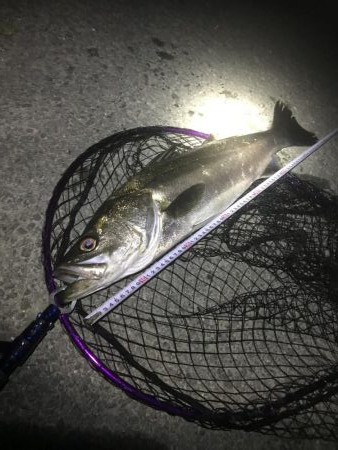 めげずに頑張りました(ToT)