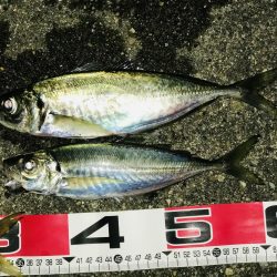 ボーナス確定‼️