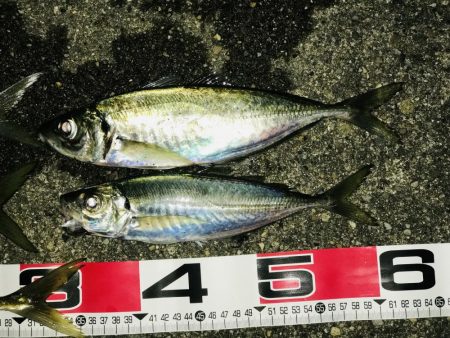 ボーナス確定‼️