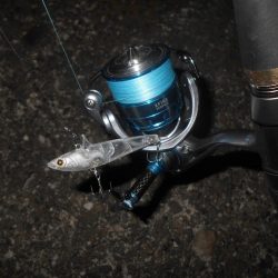 カラーは不要???