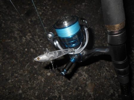 カラーは不要???