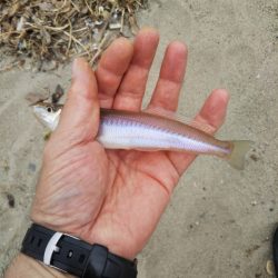 久しぶりのキス