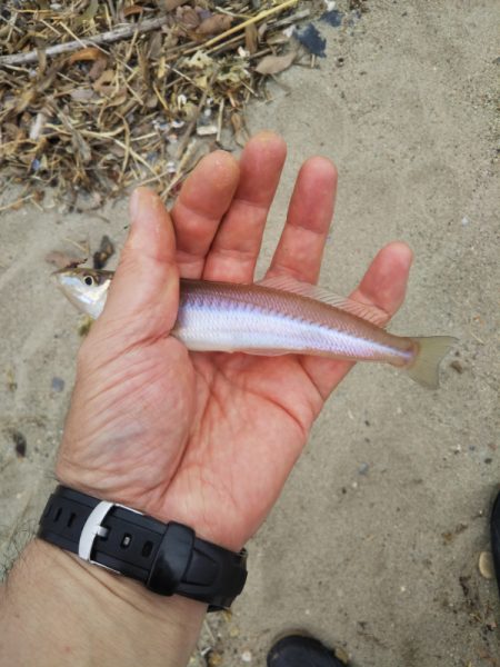 久しぶりのキス