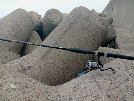 プチsalt water game