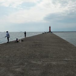 更に厳しくなった播磨新島のキス