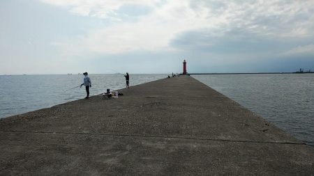 更に厳しくなった播磨新島のキス