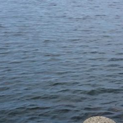 久しぶりに地元で