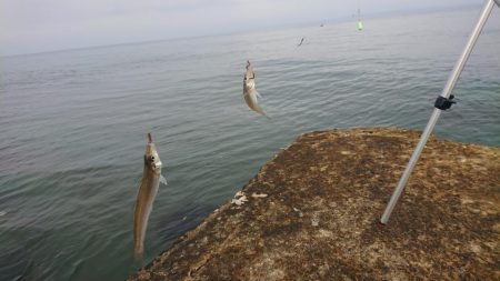 日本海のキスは最高