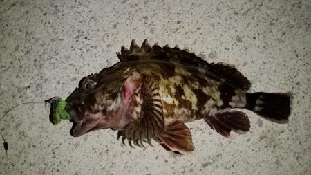 スローフォール