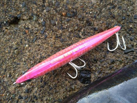 サーフでギガアジ