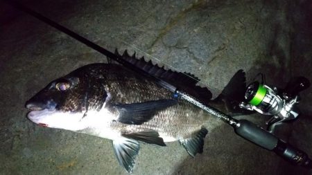 梅雨メバリング　外道のオンパレード