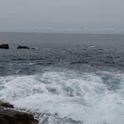 やっと釣れたー!