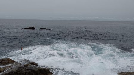 やっと釣れたー!