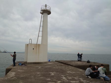 フラットフィッシュを狙って…