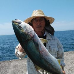 播磨新島のキス調査