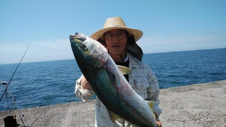 播磨新島のキス調査