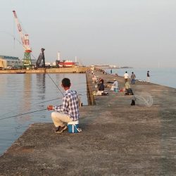 １５時から播磨新島のキス調査