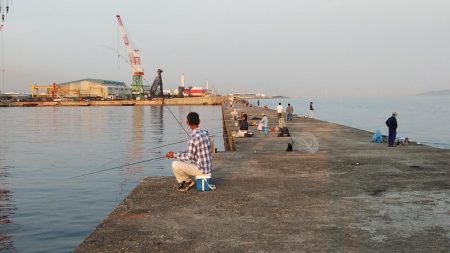 １５時から播磨新島のキス調査