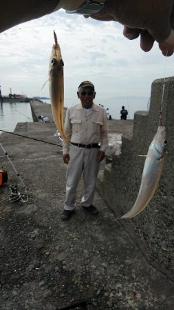 朝から播磨新島のキス調査