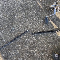 ガシラ、ベラ釣り好