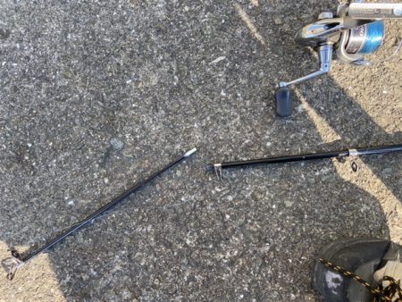 ガシラ、ベラ釣り好