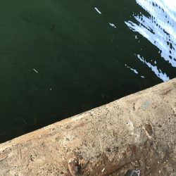 @ちょこっと遠征デイゲーム