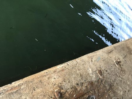 @ちょこっと遠征デイゲーム