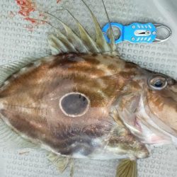 ネギング10目釣り