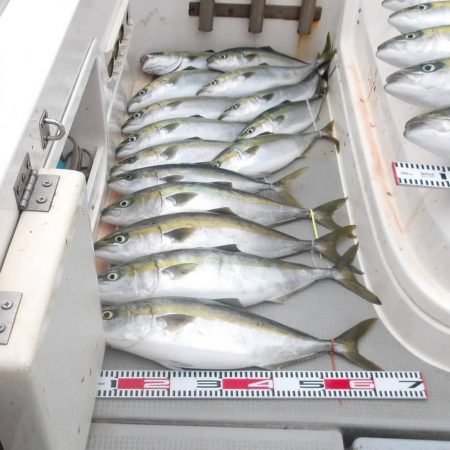 SOUTH　乗合便4名様釣果