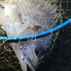 釣りデビュー 168日目❤