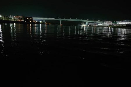 芦屋川河口でシーバス