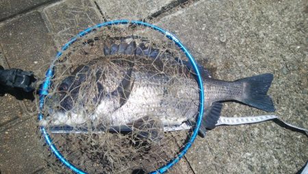 『釣りデビュー❗』171日目❤