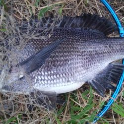 『釣りデビュー❤』172日目❗❗