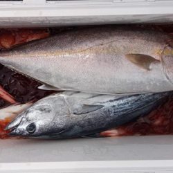 康仁丸・ジギング釣り果