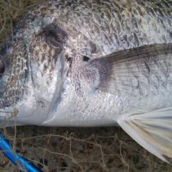 『釣りデビュー❤』175日目✨