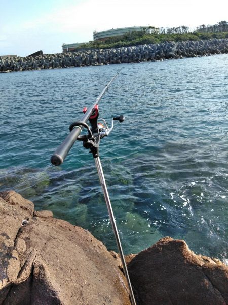 久し振りにアオリイカ一杯・・