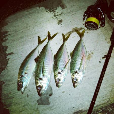 フロートゲーム~