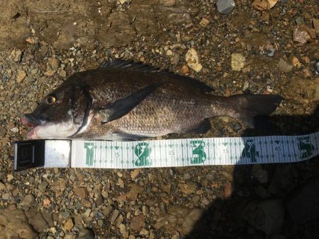 A.P.Pフィッシングガイドサービス　ショ…